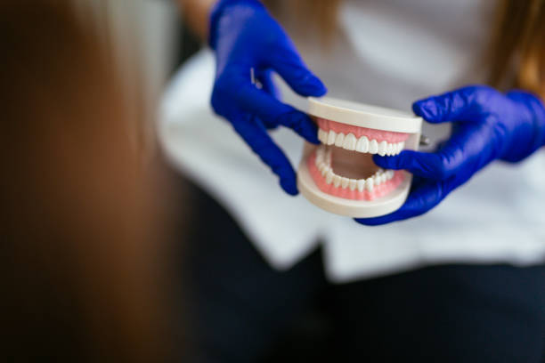 Best Full Mouth Reconstruction  in Heathrow, FL